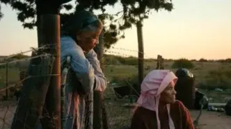 معرفی برندگان جشنواره روتردام ۲۰۲۶