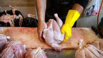 کاهش قیمت مرغ/ مرغ زنده چقدر شد؟