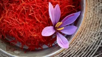 روند افزایشی صادرات زعفران در آستانه ماه مبارک رمضان؛ قیمت ۲۰۰ تا ۲۰۳ میلیون تومان