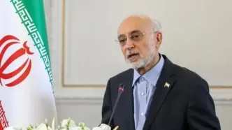 صالحی: شیر و خورشید نمادی متعلق به جمهوری اسلامی است/ یکی از ویژگی‌های انقلاب، اصلاح‌پذیری است/ بنیان درست نظام ما در این قرن باید توجه به اقلیم، آب، هوش مصنوعی و مسائل اجتماعی و اقتصادی باشد/ ویدئو