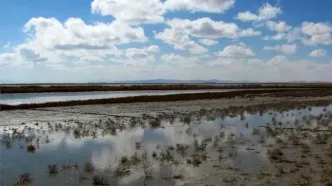 تالاب‌های بامدژ، گمیشان، قوری‌گل و ارژن احیا می‌شوند