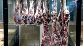 قیمت‌های دوگانه در بازار گوشت | پوریان: گوشت منجمد ارزان شد | تغییر الگوی مصرف مردم از گوشت منجمد به گوشت گرم | ملکی: افزایش قیمت نداشتیم