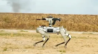 داغ از جام جهانی: این سگ های رباتیک به کار گرفته میشوند