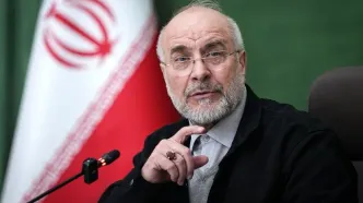 مردم مهم‌ترین مؤلفه قدرت انقلاب اسلامی هستند/ دهه فجر فرصتی مهم برای باز تبیین چرایی انقلاب اسلامی است