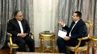 فردوسی‌پور: تصمیم تبادل سفیر بین تهران و قاهره گرفته شده است