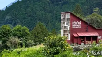 معماری جالب خانه هزار پنجره در ژاپن؛ ساخته شده از ۸۰٪ مواد بازیافتی