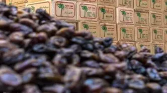 قیمت نجومی خرما در ماه رمضان؛ هر کیلو خرما چند؟