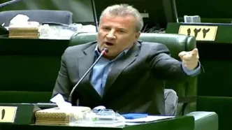 مرغداران مجبور هستند جوجه‌ها را در چاه بریزند