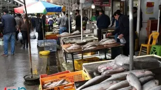 ۳۵۰ هزار تومان برای یک کیلو ماهی؟