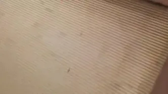 فیلم لحظه حمله اسرائیل به بیت رهبری