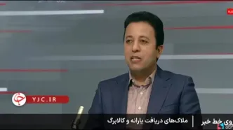 کنایه تند مجری به یارانه جدید نوزادان/ با این مبلغ نهایتاً می‌شود ۴ بسته پوشک خرید!