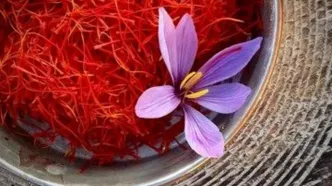 زعفران گران شد/ قیمت جدید چقدر است؟