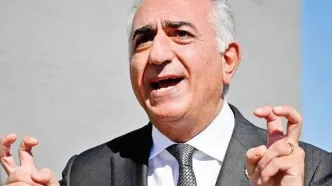 نبوغ تو خالی نماد بی سوادی