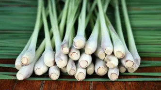 علف لیمو: گیاه همه‌کاره با خواص درمانی