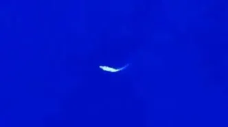 ناو آمریکایی در نزدیکی سواحل جنوب عمان+  عکس