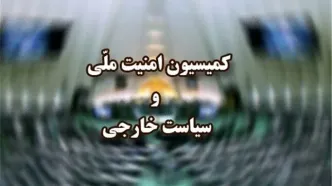 تشریح تحولات منطقه در کمیسیون امنیت ملی