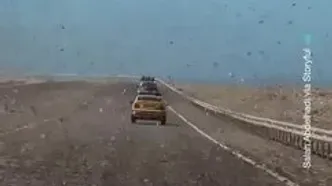 هجوم میلیون‌ها ملخ به یک بزرگراه