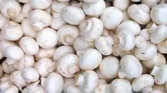 افزایش عجیب قیمت قارچ