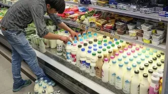 قیمت شیر یارانه‌ای دو برابر شد