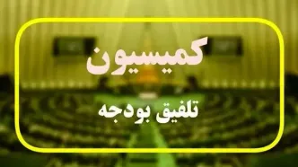 بند مربوط به وام ازدواج و فرزندآوری به کمیسیون تلفیق ارجاع شد