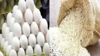 تخم‌مرغ سقوط کرد! کاهش ۱۲۰ هزار تومانی و افت قیمت برنج در بازار اعلام شد
