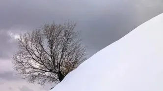 تصاویر؛ بارش زیبای برف در خرم آباد