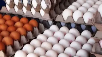 کاهش قیمت برنج و تخم‌مرغ در بازار؛ کمبود واقعی یا مشکل عرضه؟