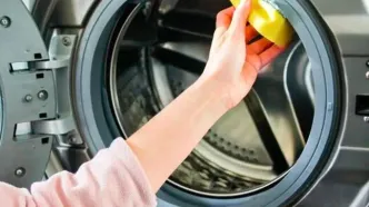 راهنمای کامل جرم‌گیری و نظافت لاستیک ماشین لباسشویی