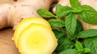 زنجبیل برای رفع حالت تهوع بهتر است یا نعناع؟