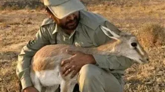 تصویب مجدد رشته «محیط‌بانی» در شورای عالی آموزش و پرورش پس از بازنگری سرفصل‌ها