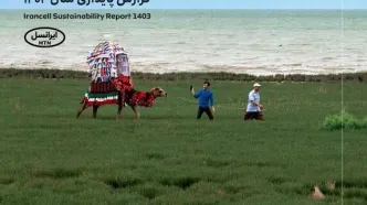 پنجمین‫ گزارش پایداری ایرانسل منتشر شد