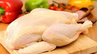 قیمت مرغ امروز ۱۵ بهمن ۱۴۰۴ | مرغ کامل کیلویی چند؟ + جدول