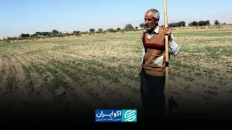 کشاورزی در تله سرمایه و روش‌های سنتی