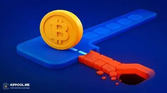 چگونه ارز دیجیتال ارسال شده را بازیابی کنیم؟(راهنمای سناریوهای مختلف)