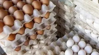 قیمت جدید تخم‌مرغ اعلام شد
