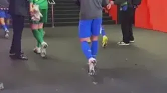 ویدئو: پاداش ویژه ال‌چولو برای صعود اتلتیکومادرید