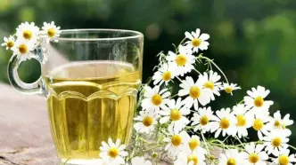 داروی طبیعی برای کاهش استرس و بهبود خواب