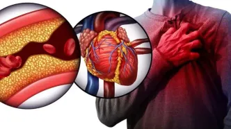 این غذاها قاتل خاموش سلامت انسان اند !