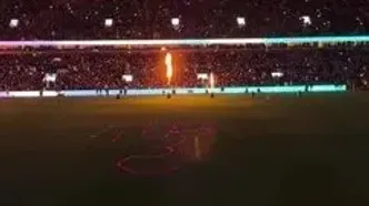 ویدئو: خوش‌آمدگویی خیره‌کننده به کلاغ‌ها