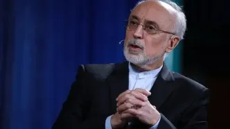 صالحی: علامت شیر و خورشید متعلق به جمهوری اسلامی ایران است + فیلم