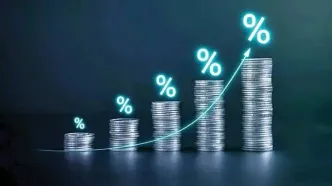 اصلاح مدل وثایق در تأمین مالی جمعی؛ مسیری جدید برای رشد شرکت‌های دانش‌بنیان