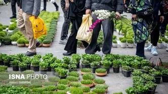 حال و هوای متفاوت بازار تجریش در ساعات آخر 1404