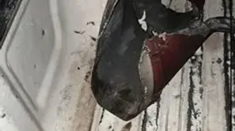 انهدام پهپاد رژیم صهیونیستی توسط لشکر ۲۳ نیروی زمینی ارتش