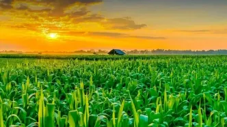 روغن خوراکی با افزایش قیمت ده درصدی روبرو شد