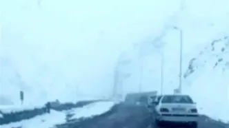 ویدئویی حال‌خوب‌کُن از بارش برف در جاده چالوس