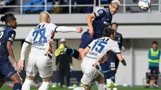 گل دیرهنگام زاهدی برای آویسپا