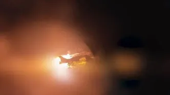 اردوگاه نیروهای آمریکایی در اردن آماج حملات پهپادی ارتش