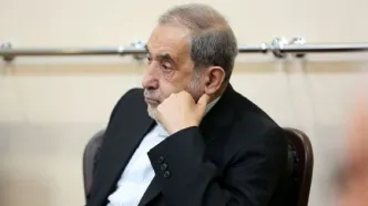 علی اکبر ولایتی: در دعوای فیل‌ها علف ها لِه می شوند!