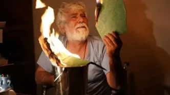 اکران «آلرژی» و فیلمی با بازی حسین پاکدل و حسام محمودی