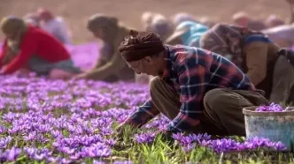 قیمت زعفران در بازار شب عید +جدول